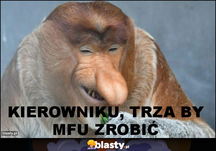 Kierowniku, trza by MFU zrobić