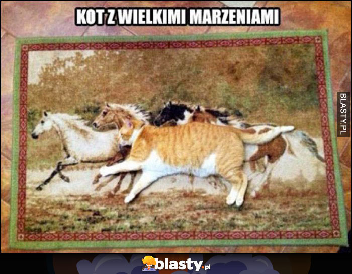 Kot z wielkimi marzeniami leży na dywanie z końmi