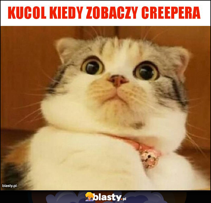 Kucol kiedy zobaczy creepera