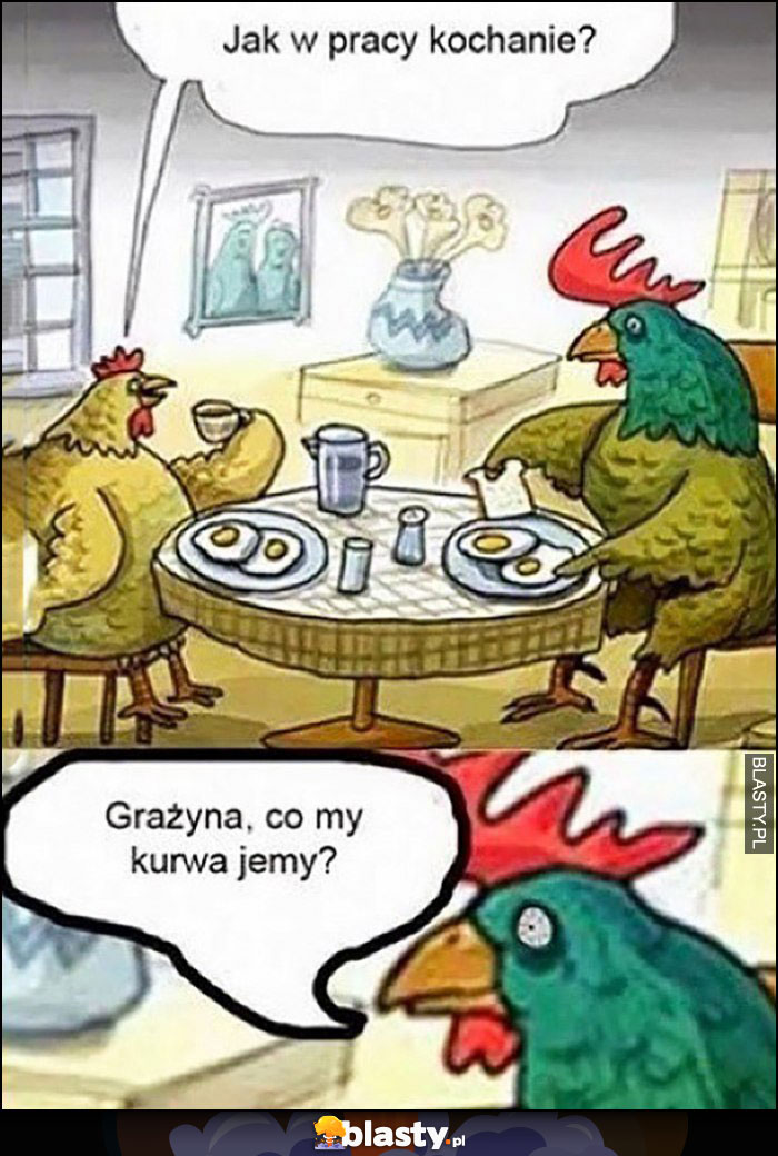 Kura kogut jedzą jajka, Grażyna co my kurna jemy?