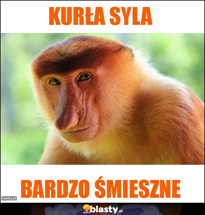 Kurła Syla