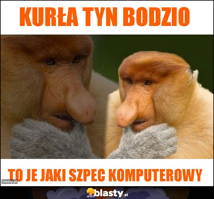 Kurła tyn bodzio