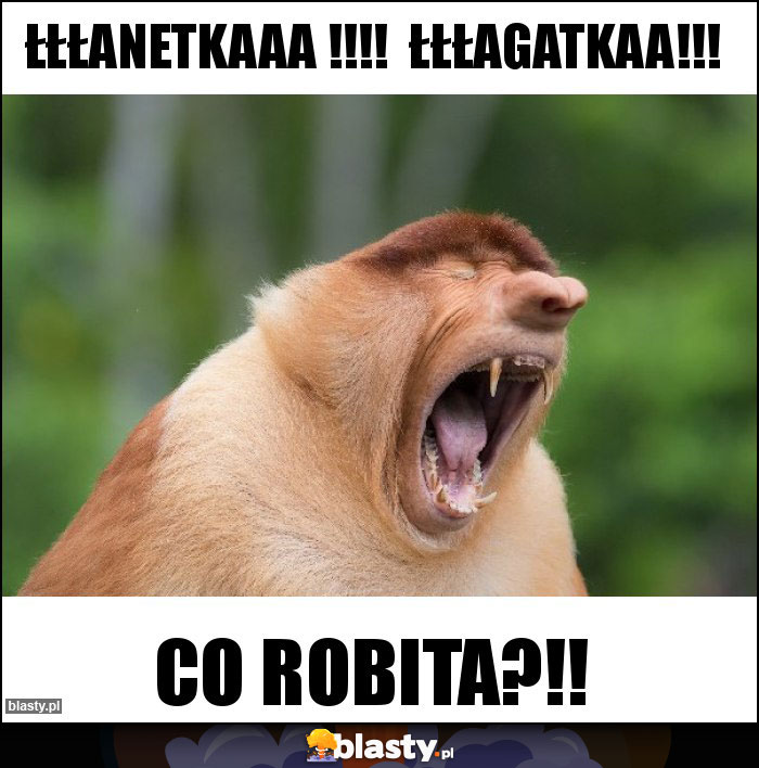 ŁŁŁanetkaaa !!!!  ŁŁŁagatkaa!!!