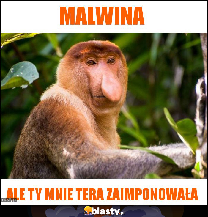 Malwina