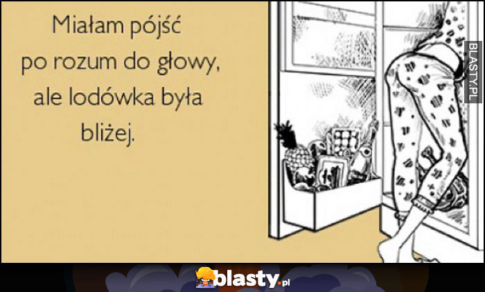 Miałam pójść po rozum do głowy, ale lodówka była bliżej