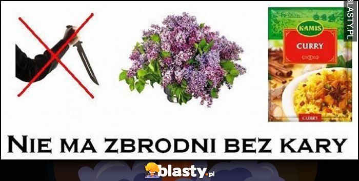 Nie ma zbrodni bez kary bez curry rebus