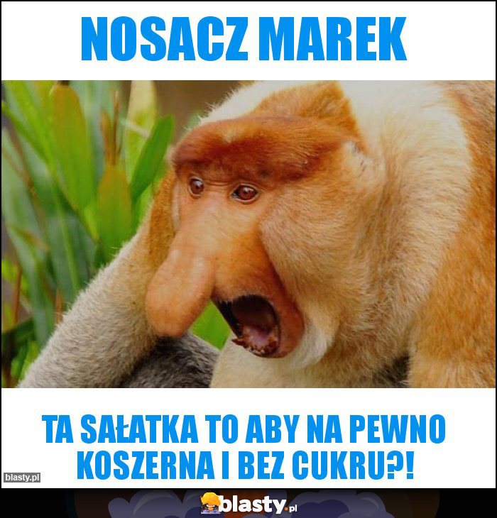 Nosacz marek