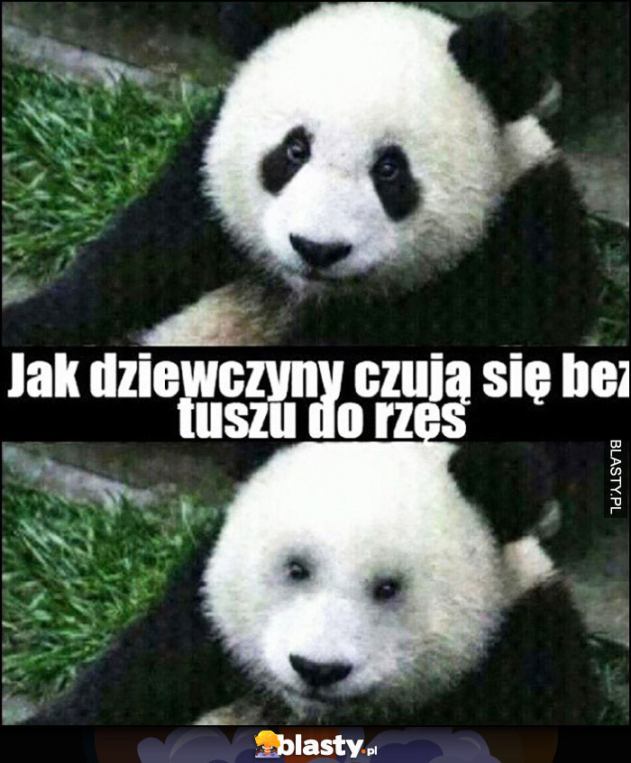 Panda jak dziewczyny czują się bez tuszu do rzęs