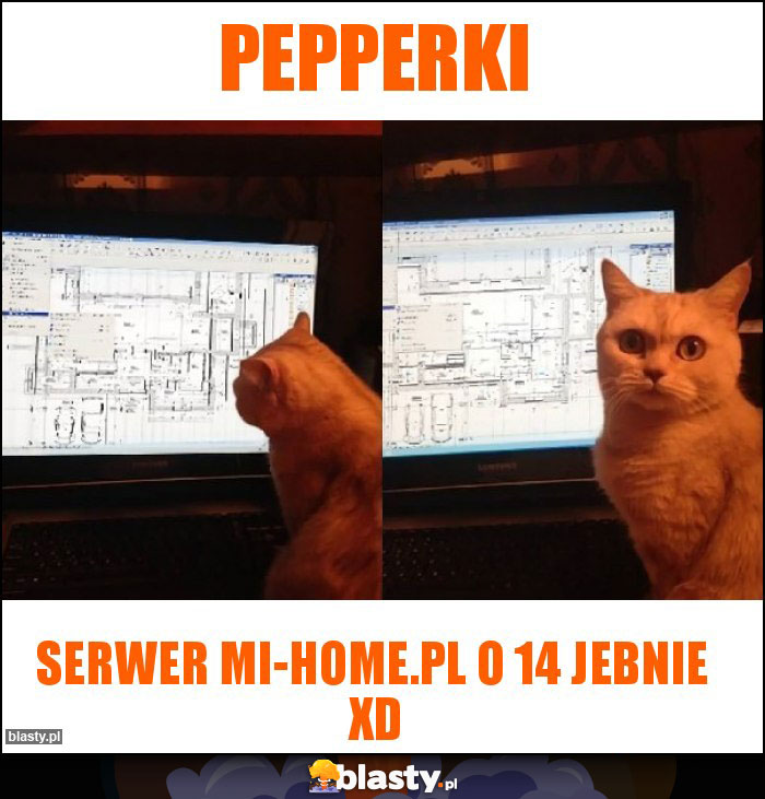 Pepperki