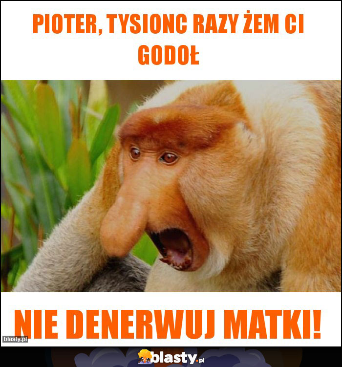 Pioter, tysionc razy żem ci godoł