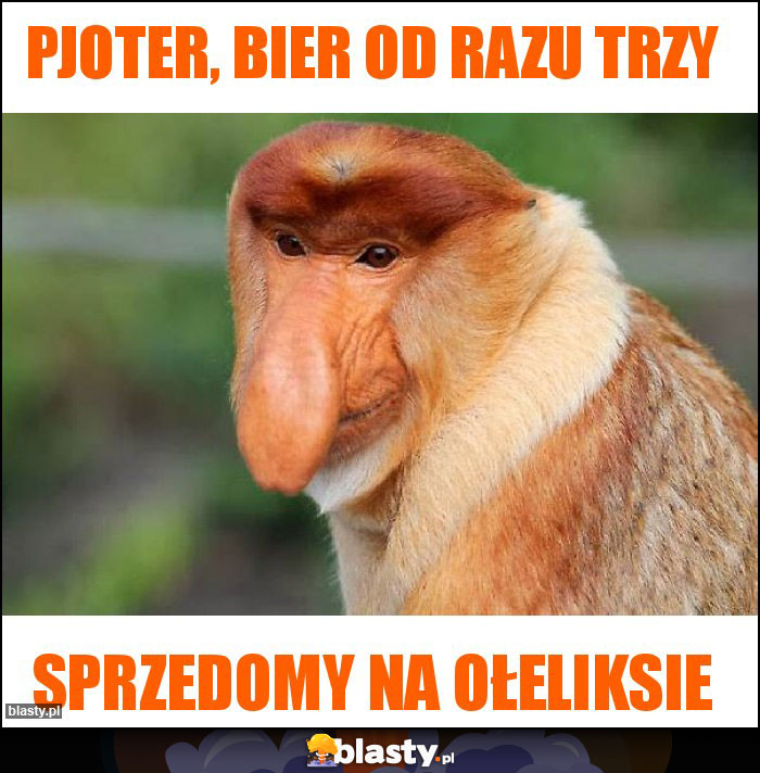 Pjoter, bier od razu trzy