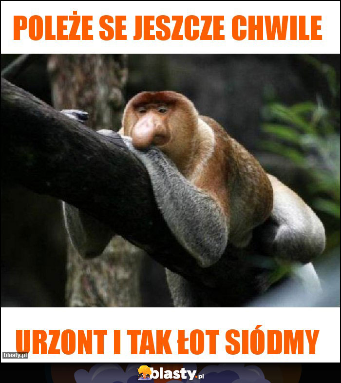 Poleże se jeszcze chwile
