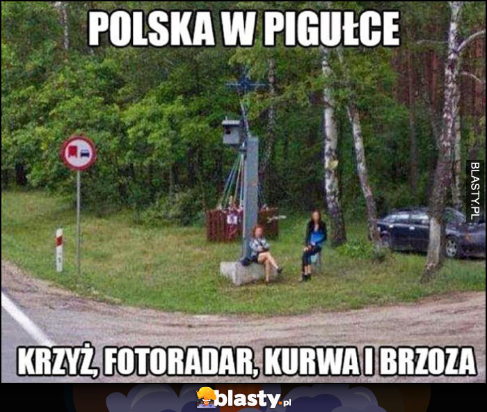 Polska w pigułce: krzyż, fotoradar, kurna i brzoza
