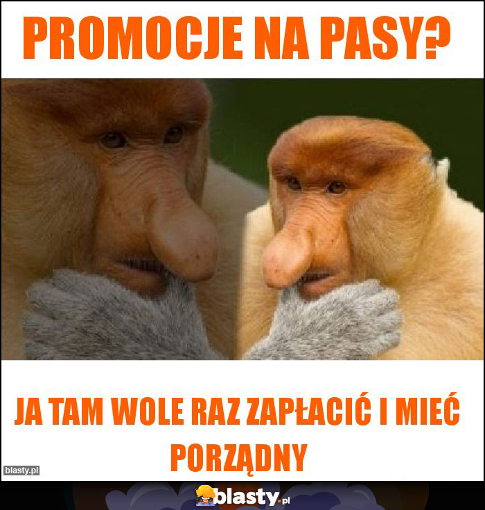 Promocje na pasy?