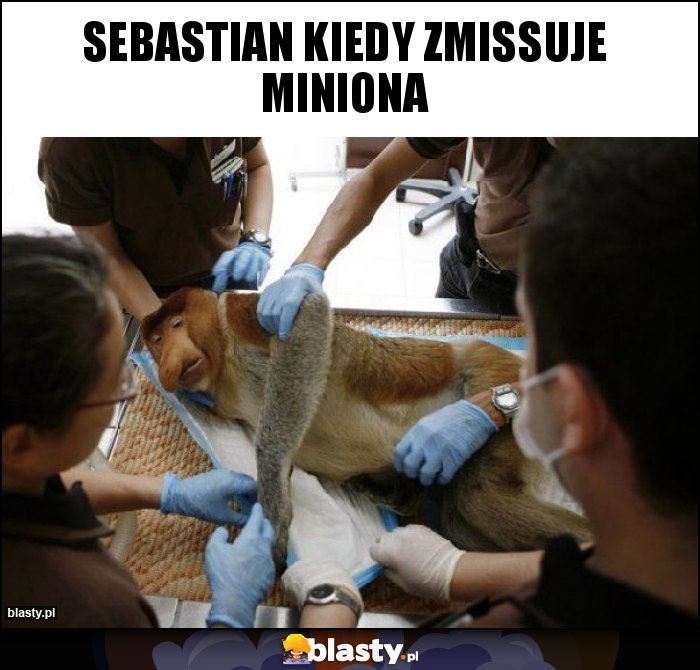 Sebastian kiedy zmissuje miniona