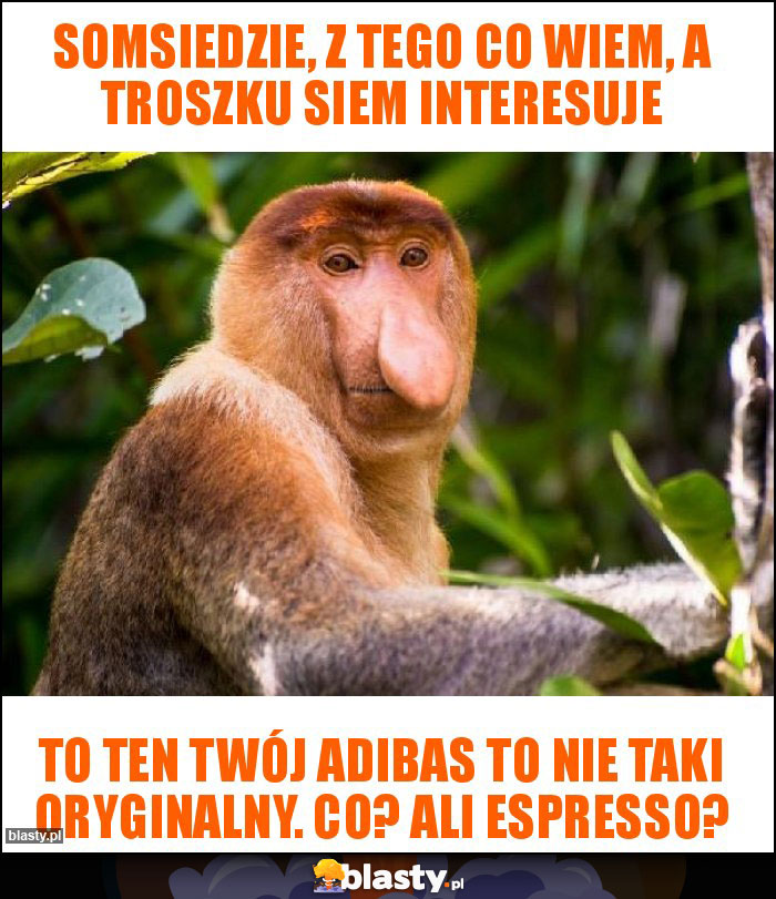 Somsiedzie, z tego co wiem, a troszku siem interesuje