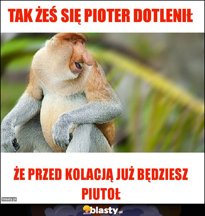 Tak żeś się pioter dotlenił