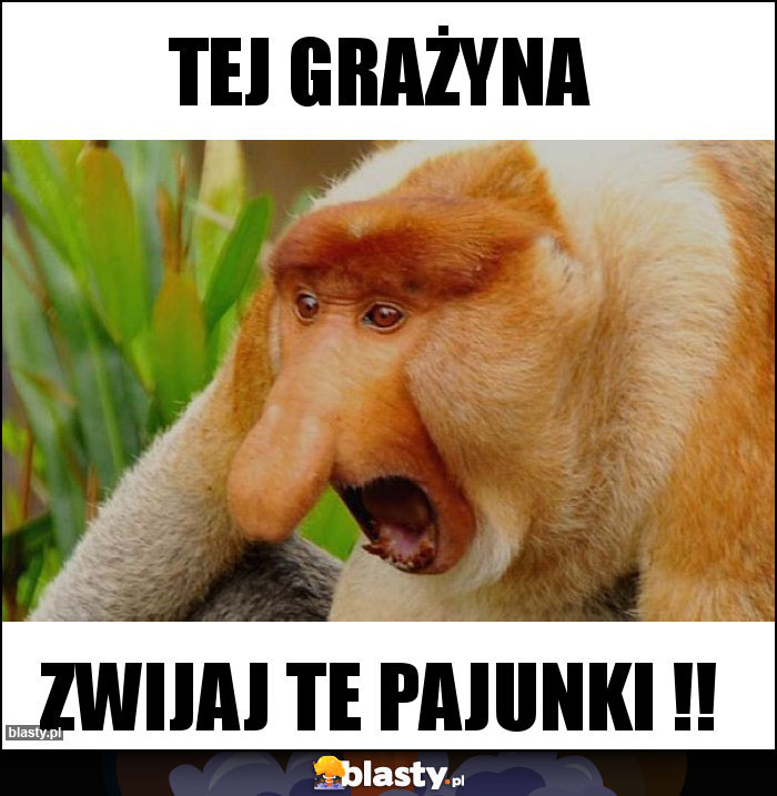 Tej Grażyna
