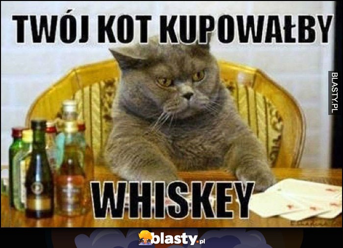 Twój kot kupowałby whiskey