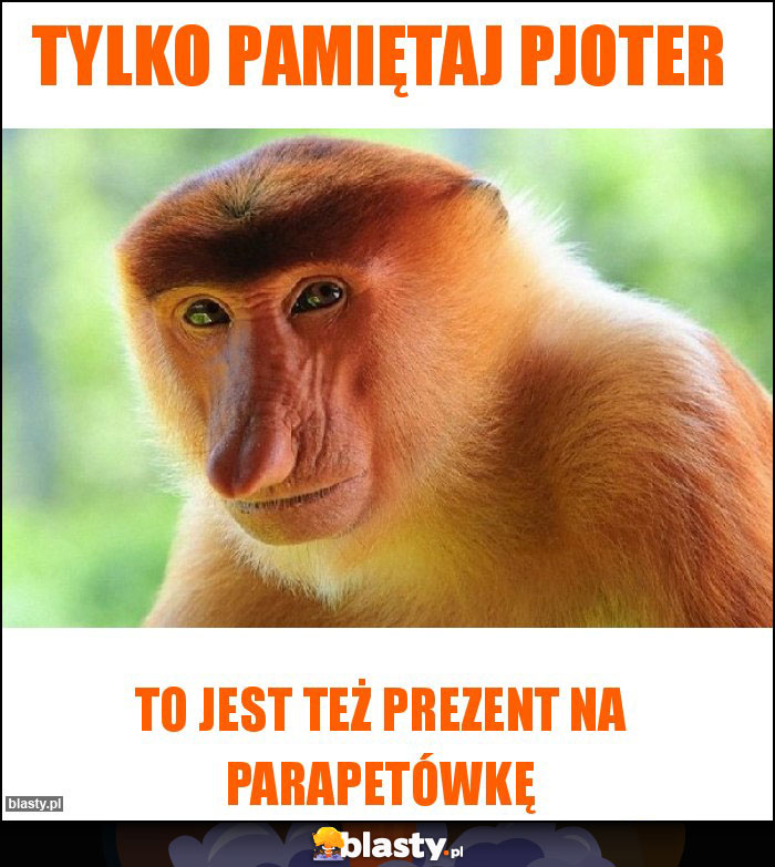 Tylko pamiętaj Pjoter