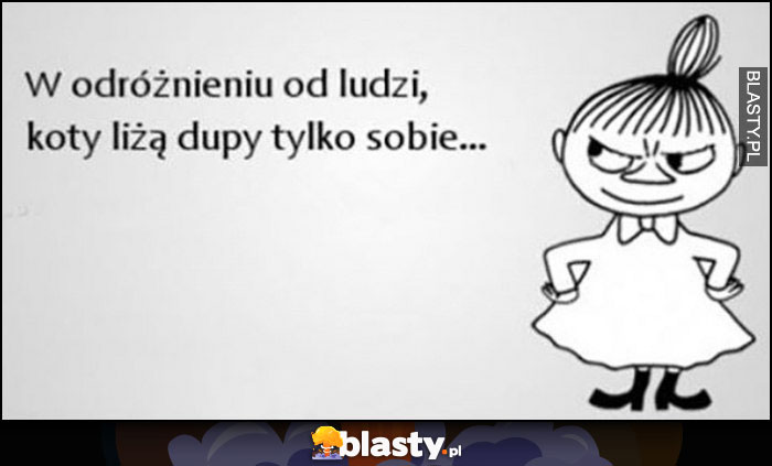 W odróżnieniu od ludzi, koty liżą dupy tylko sobie Mała Mi