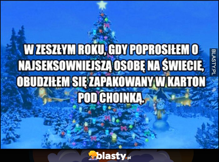 W zeszłym roku, gdy poprosiłem o najseksowniejszą osobę na świecie obudziłem się zapakowany w karton pod choinką