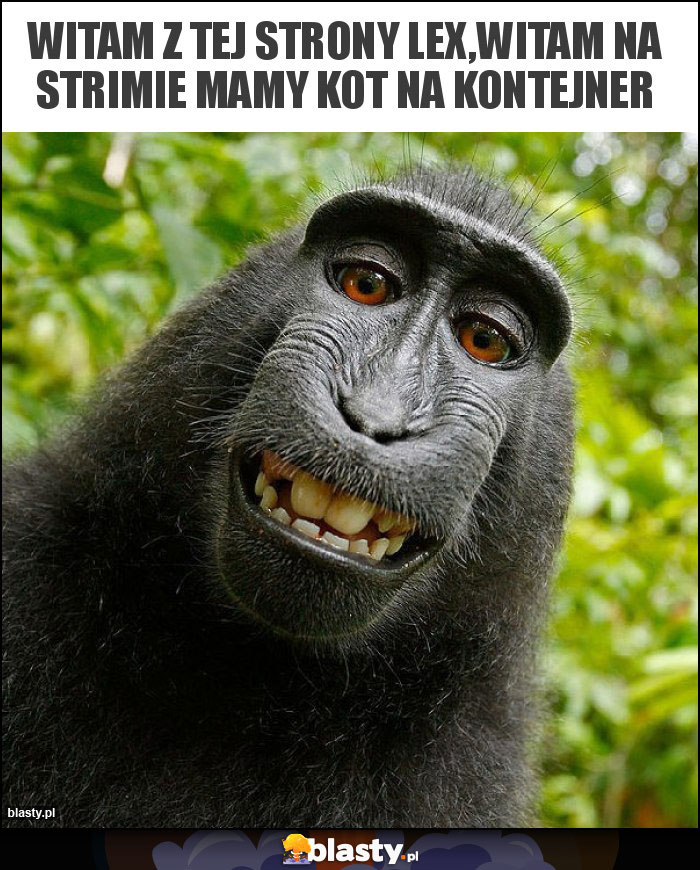 Witam z tej strony lex,witam na strimie mamy kot na kontejner