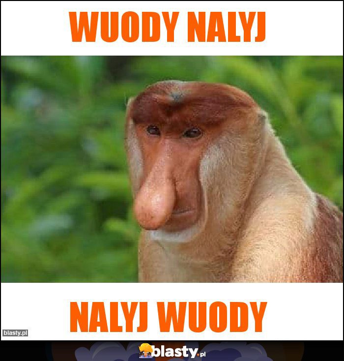 Wuody nalyj