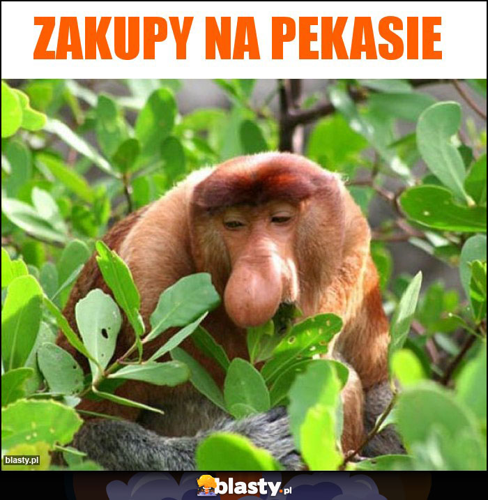 Zakupy na pekasie