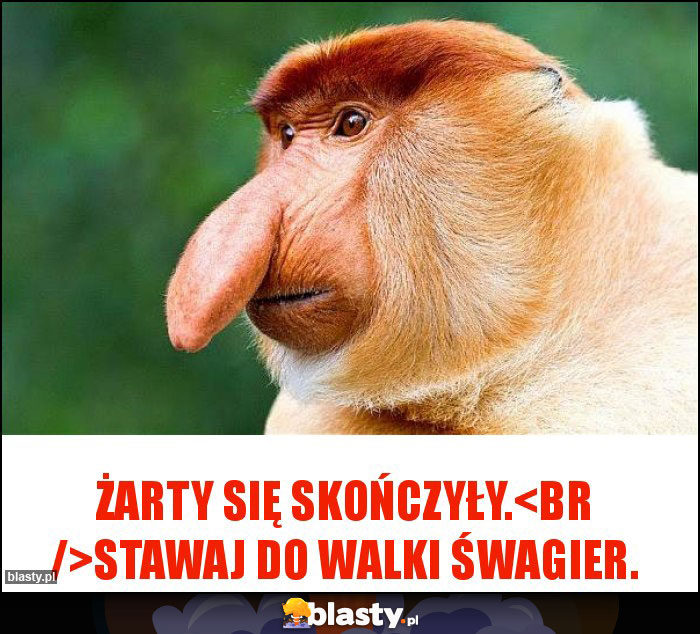 Żarty się skończyły.
Stawaj do walki śwagier.