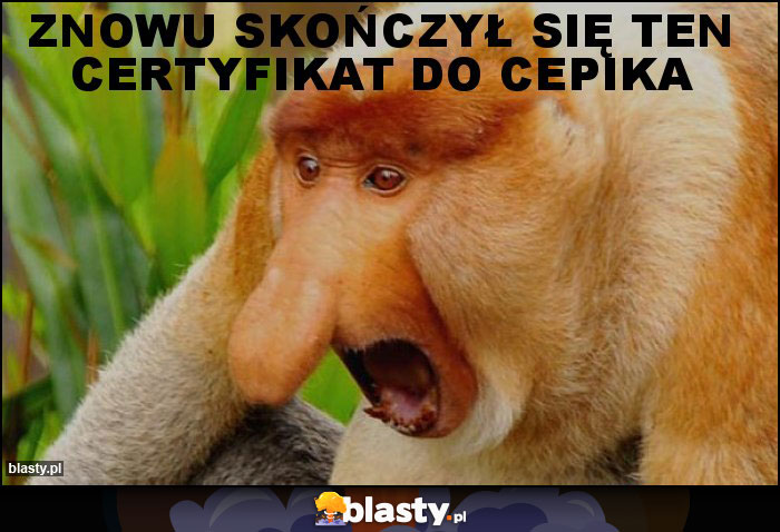Znowu skończył się ten certyfikat do cepika