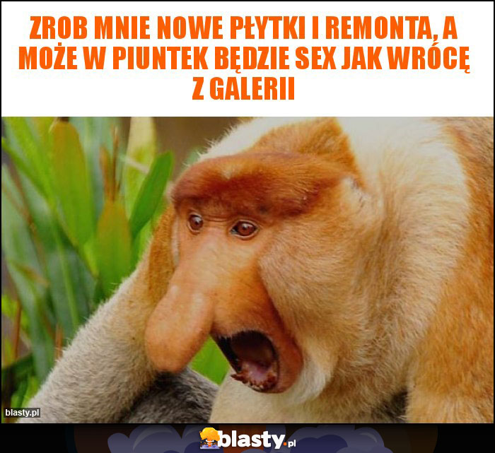 Zrob mnie nowe płytki i remonta, A może w piuntek będzie sex jak wrócę z galerii