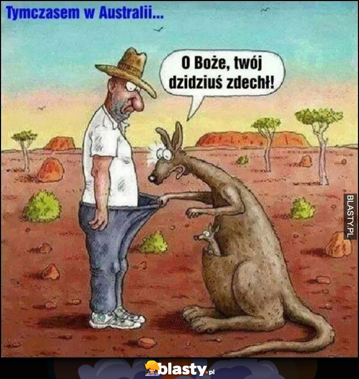 Australia kangur zagląda do worka do majtek, o matko Twoj dzidziuś zdechł