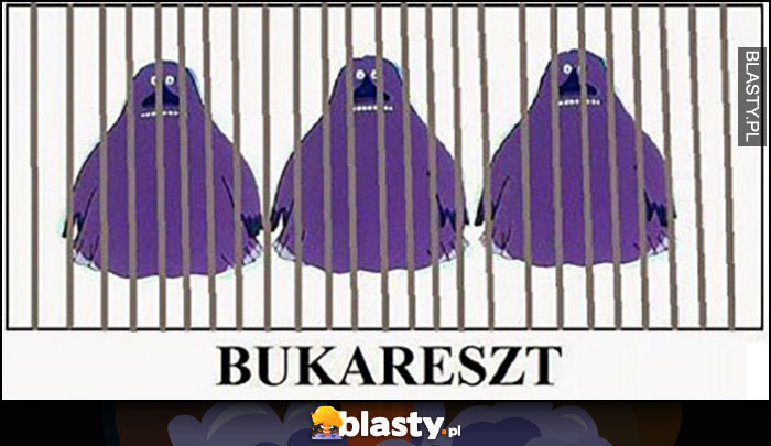 Bukareszt areszt więzienie z Bukami Buka