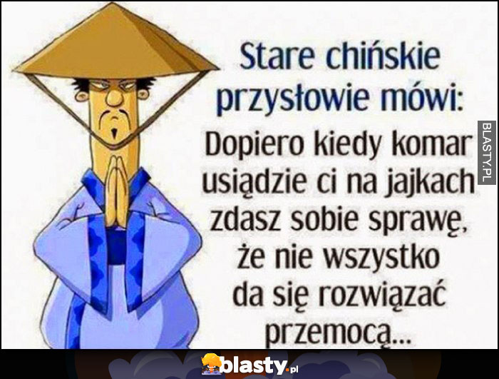 Chińskie przysłowie: dopiero kiedy komar usiądzie Ci na jajkach zdasz sobie sprawę, że nie wszystko da się rozwiązać przemocą