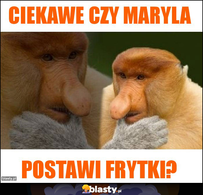 Ciekawe czy Maryla