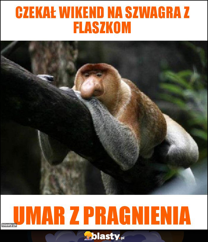 Czekał wikend na szwagra z flaszkom
