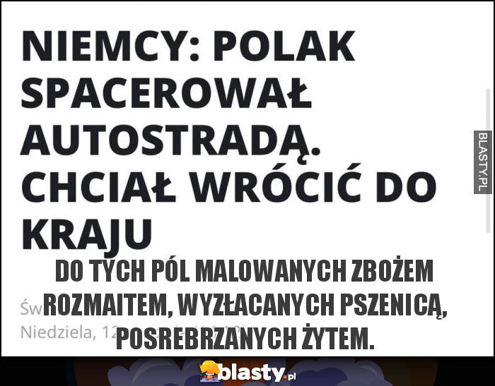 Do tych pól malowanych zbożem rozmaitem, wyzłacanych pszenicą, posrebrzanych żytem.