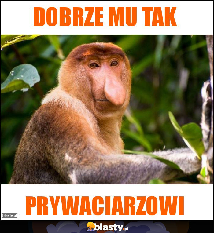 Dobrze mu tak