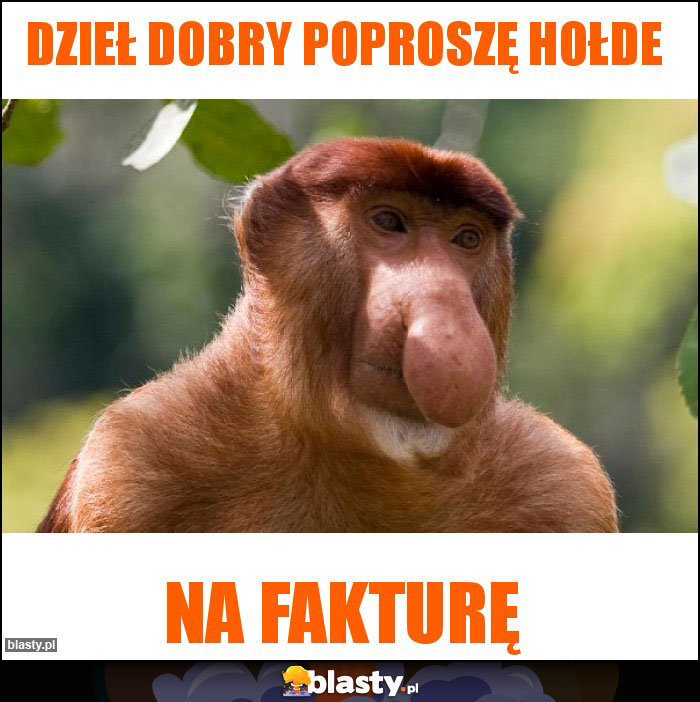 Dzieł dobry poproszę Hołde