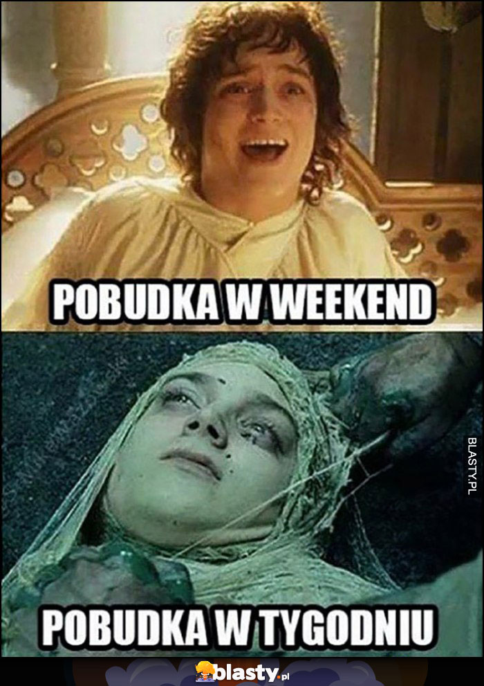 Frodo pobudka w weekend vs pobudka w tygodniu porównanie