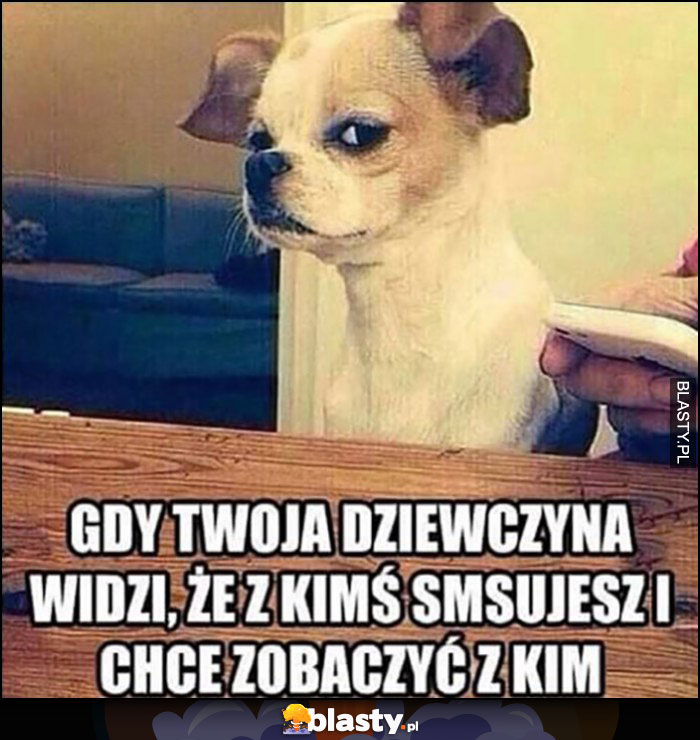 Gdy Twoja dziewczyna widzi, że z kimś smsujesz i chce zobaczyć z kim podejrzliwy pies