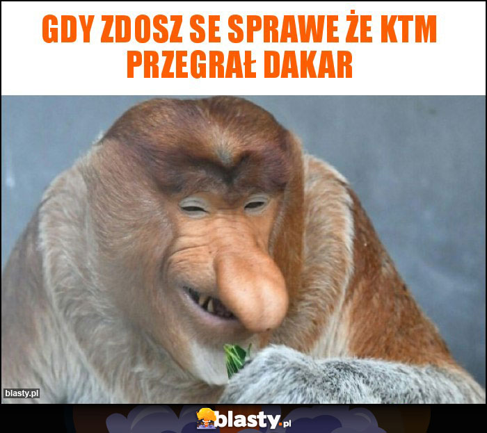 Gdy zdosz se sprawe że KTM przegrał Dakar
