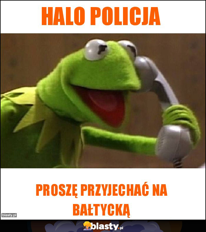 Halo policja