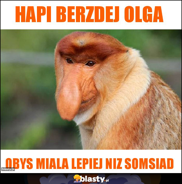 Hapi Berzdej Olga