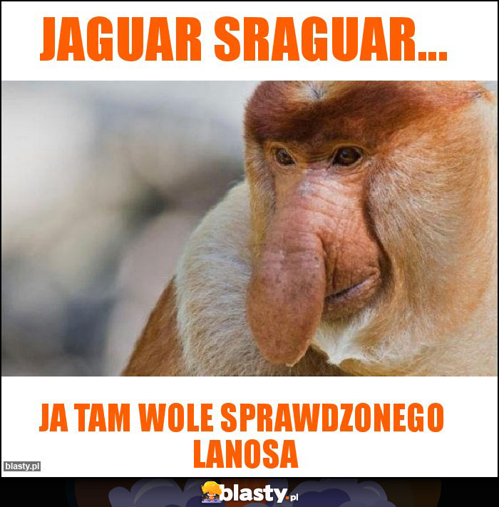 Jaguar sraguar...