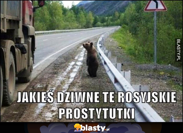Jakieś dziwne te rosyjskie prostytutki niedźwiedź na poboczu drogi