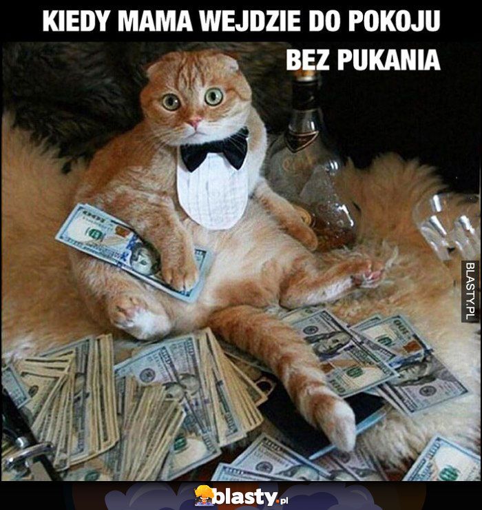 Kiedy mama wejdzie do pokoju bez pukania bogaty dziany kot z hajsem pieniędzmi