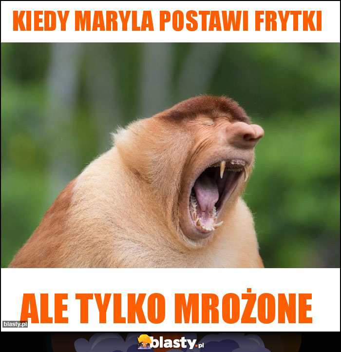 Kiedy Maryla postawi frytki