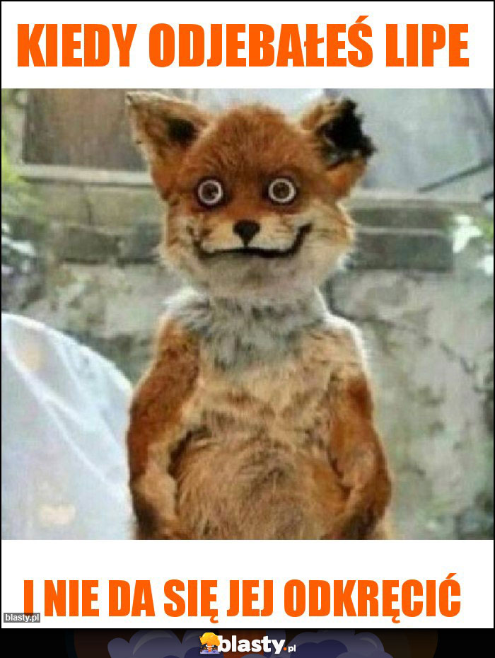 kiedy odjebałeś lipe